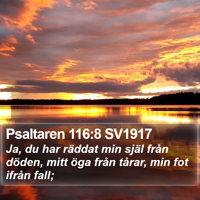 Psaltaren 116:8 SV1917 Bible Study