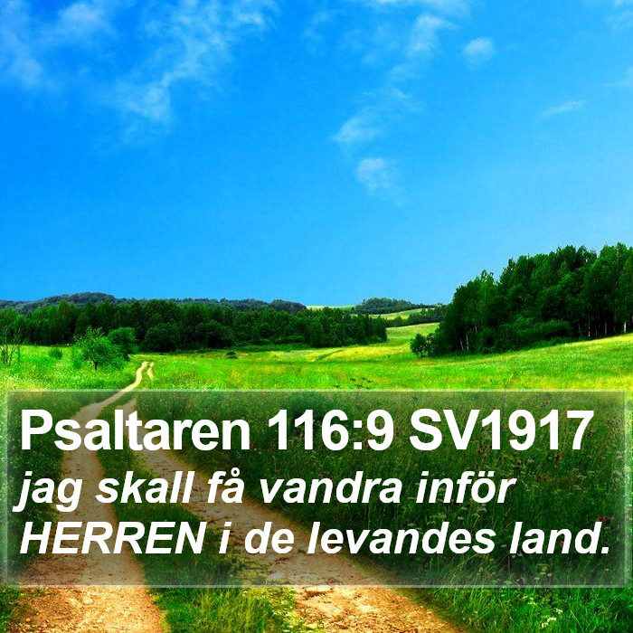 Psaltaren 116:9 SV1917 Bible Study