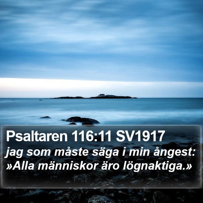 Psaltaren 116:11 SV1917 Bible Study