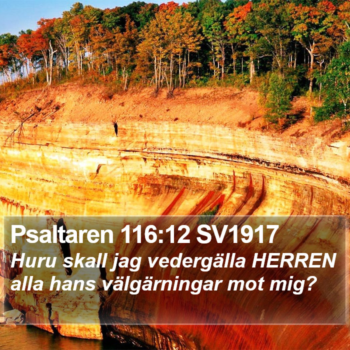 Psaltaren 116:12 SV1917 Bible Study