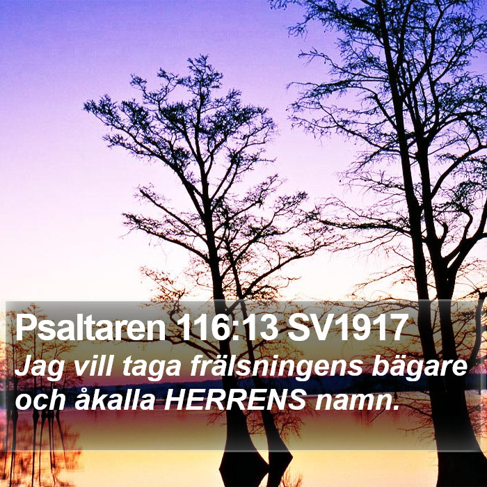 Psaltaren 116:13 SV1917 Bible Study