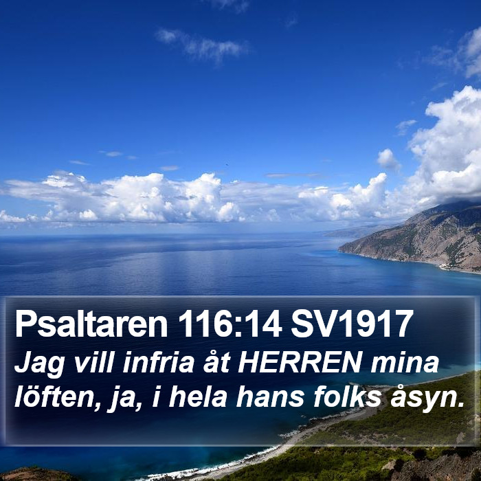 Psaltaren 116:14 SV1917 Bible Study