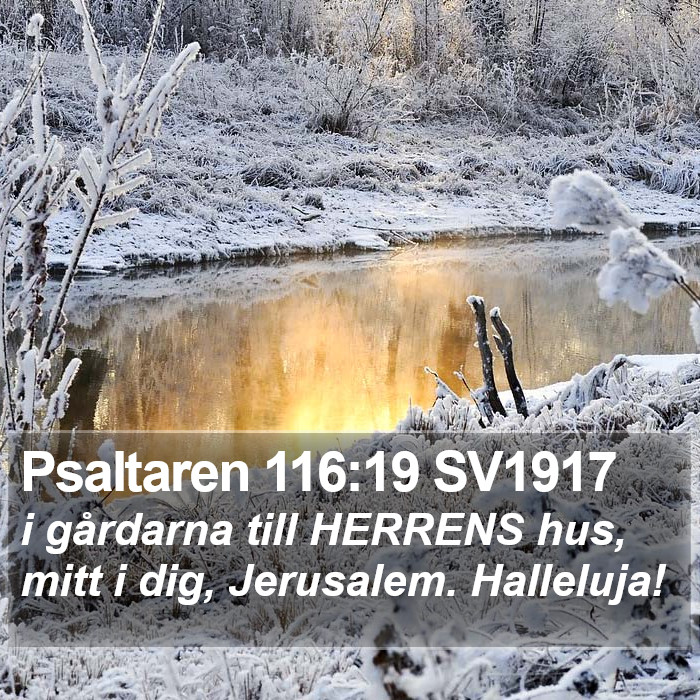 Psaltaren 116:19 SV1917 Bible Study