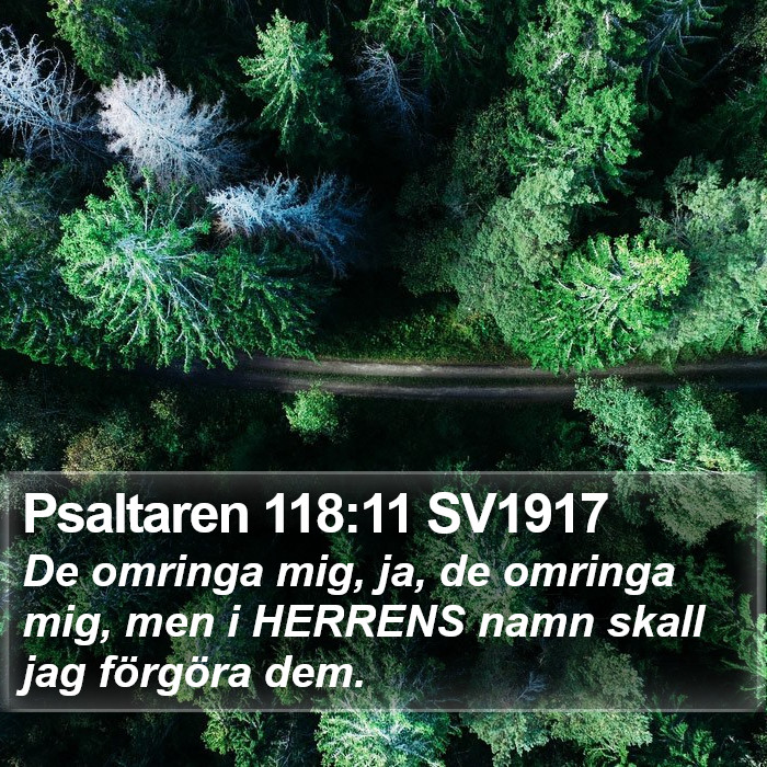 Psaltaren 118:11 SV1917 Bible Study