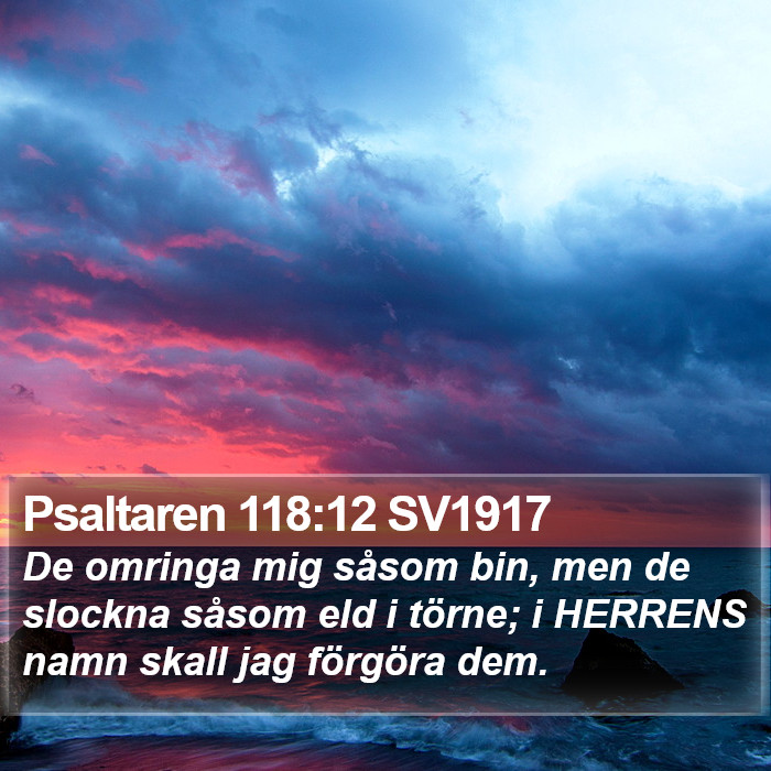 Psaltaren 118:12 SV1917 Bible Study