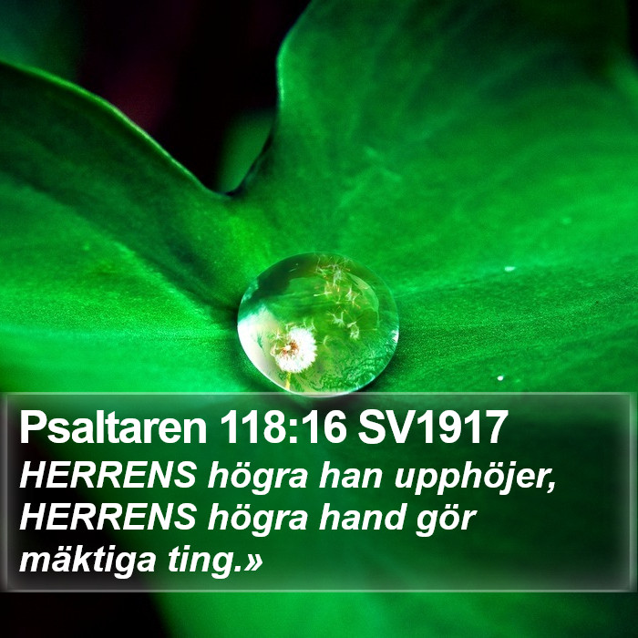 Psaltaren 118:16 SV1917 Bible Study