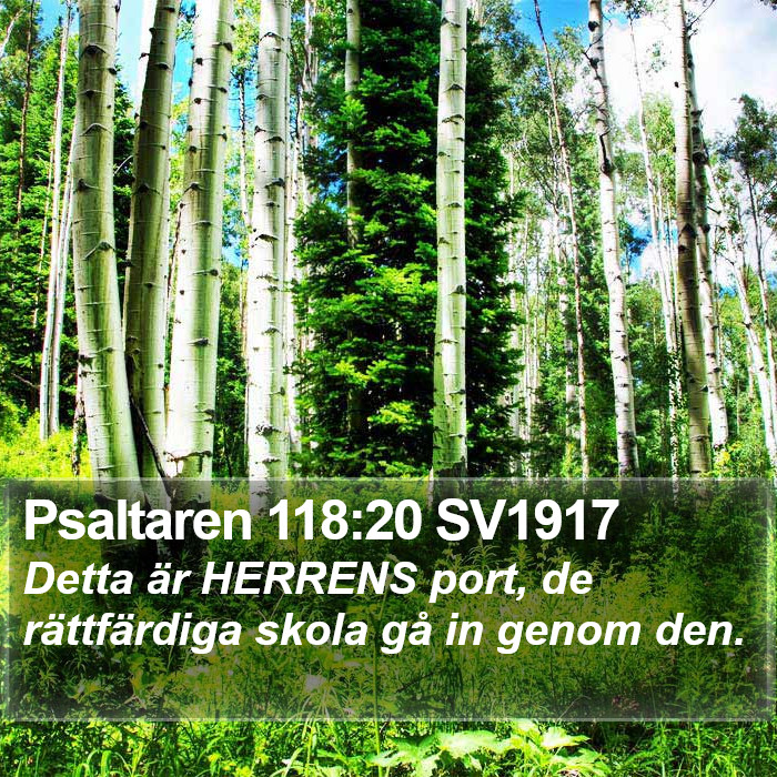 Psaltaren 118:20 SV1917 Bible Study
