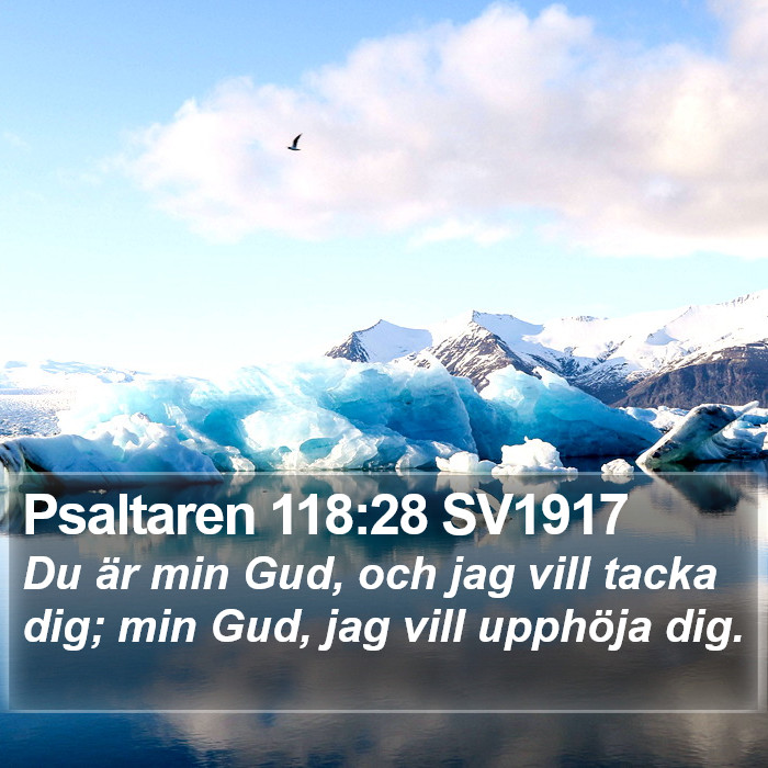 Psaltaren 118:28 SV1917 Bible Study