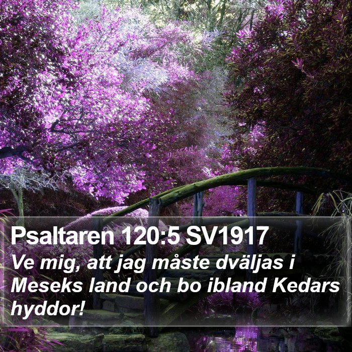 Psaltaren 120:5 SV1917 Bible Study