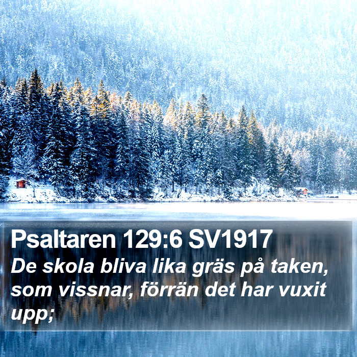Psaltaren 129:6 SV1917 Bible Study