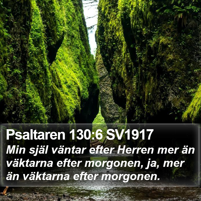 Psaltaren 130:6 SV1917 Bible Study
