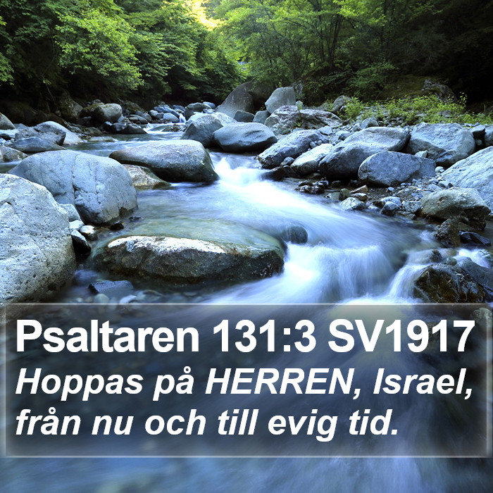 Psaltaren 131:3 SV1917 Bible Study