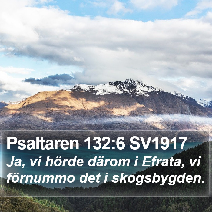 Psaltaren 132:6 SV1917 Bible Study
