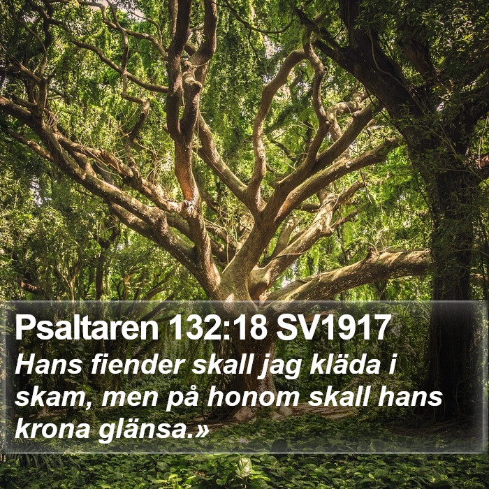 Psaltaren 132:18 SV1917 Bible Study