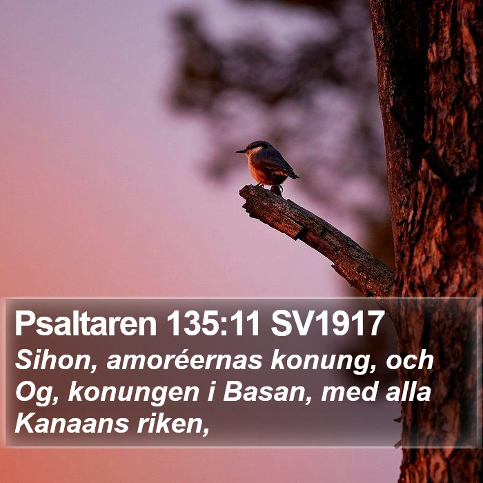 Psaltaren 135:11 SV1917 Bible Study