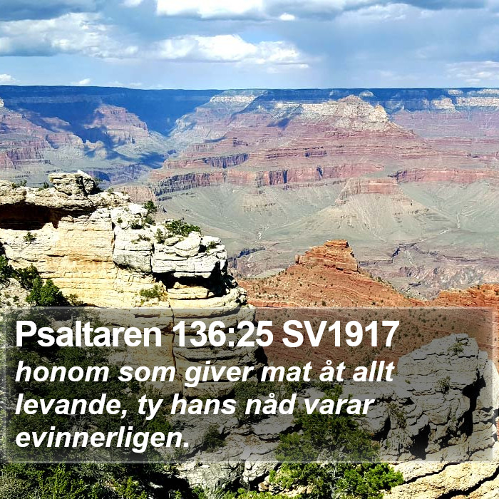 Psaltaren 136:25 SV1917 Bible Study