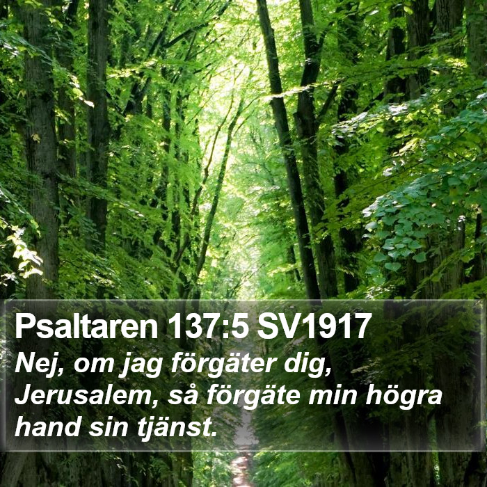 Psaltaren 137:5 SV1917 Bible Study