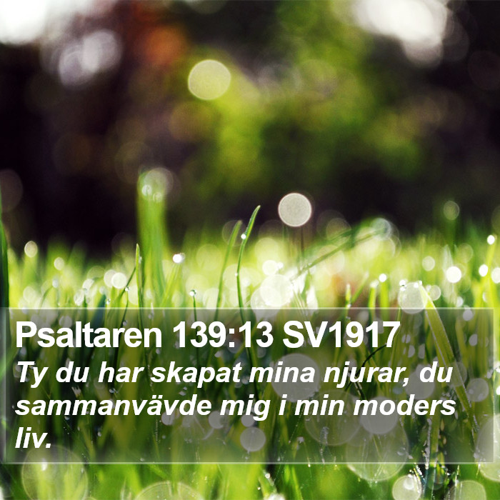 Psaltaren 139:13 SV1917 Bible Study