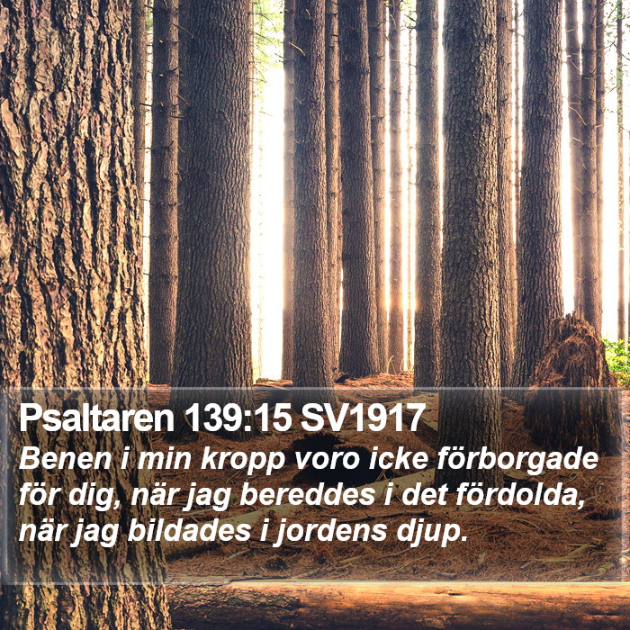 Psaltaren 139:15 SV1917 Bible Study