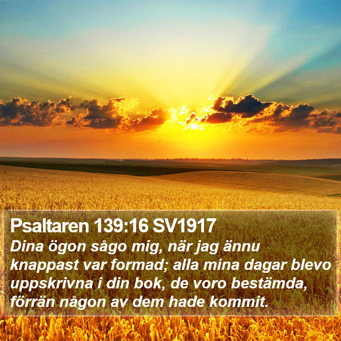 Psaltaren 139:16 SV1917 Bible Study