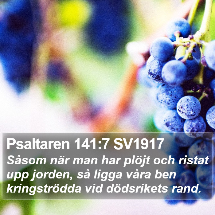 Psaltaren 141:7 SV1917 Bible Study