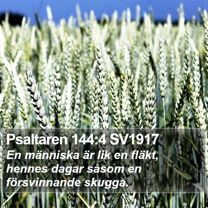Psaltaren 144:4 SV1917 Bible Study