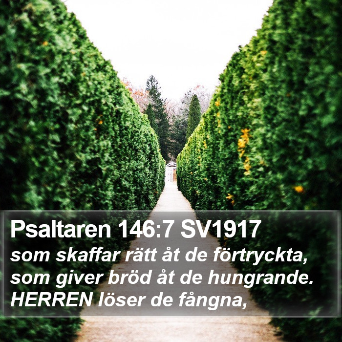 Psaltaren 146:7 SV1917 Bible Study