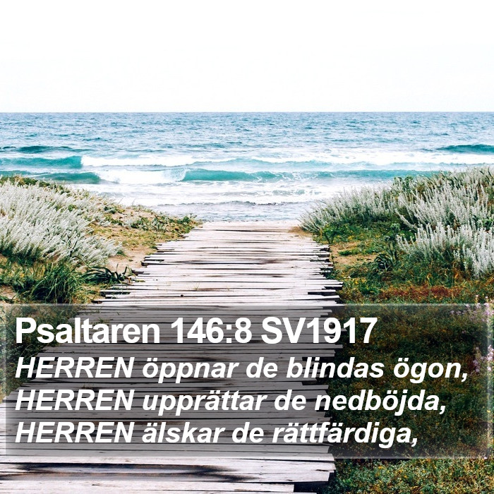 Psaltaren 146:8 SV1917 Bible Study