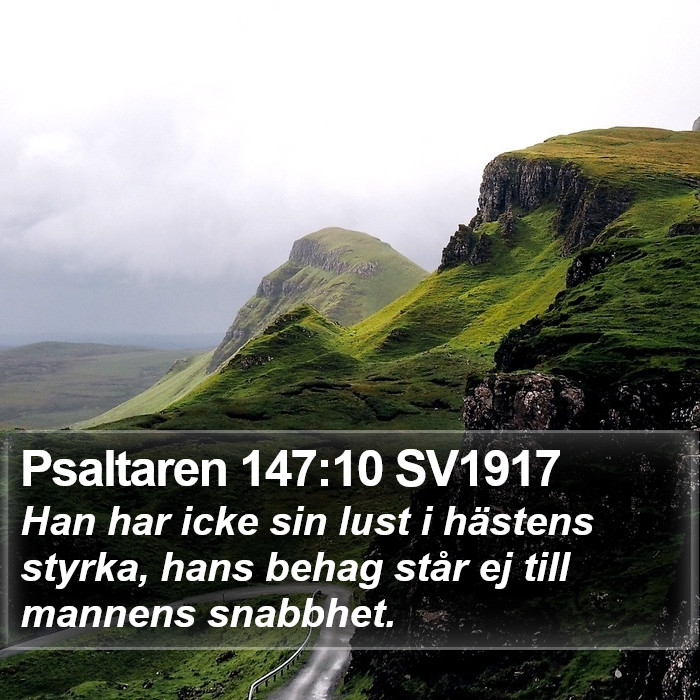 Psaltaren 147:10 SV1917 Bible Study