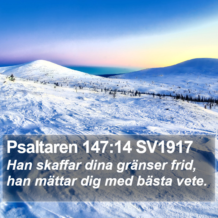 Psaltaren 147:14 SV1917 Bible Study