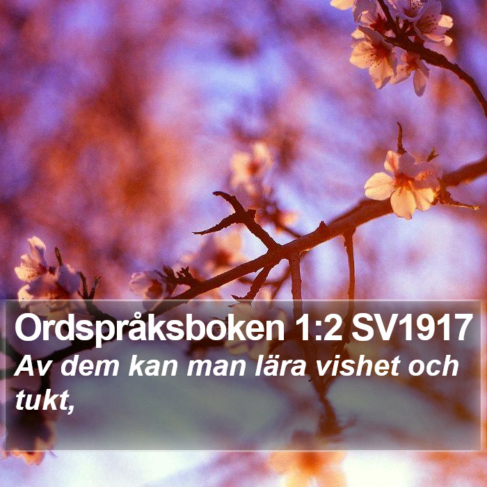 Ordspråksboken 1:2 SV1917 Bible Study