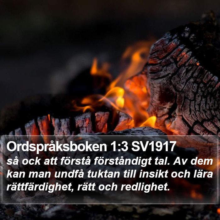 Ordspråksboken 1:3 SV1917 Bible Study