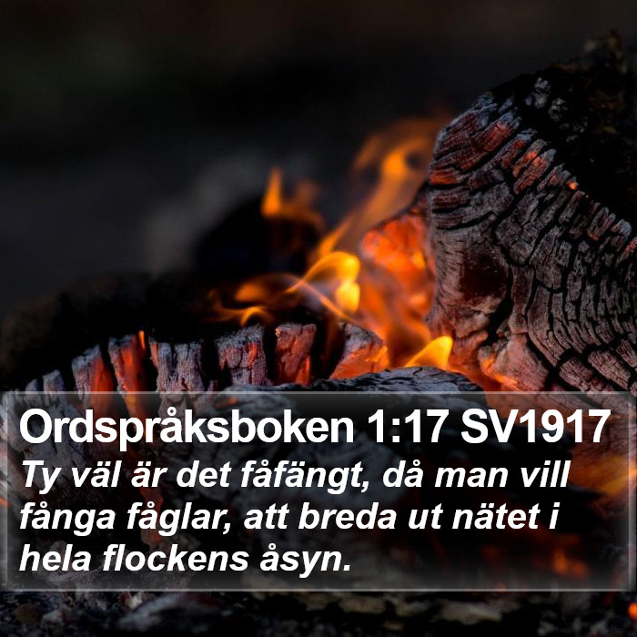 Ordspråksboken 1:17 SV1917 Bible Study