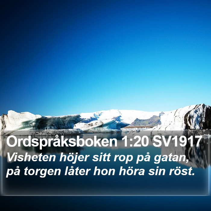 Ordspråksboken 1:20 SV1917 Bible Study