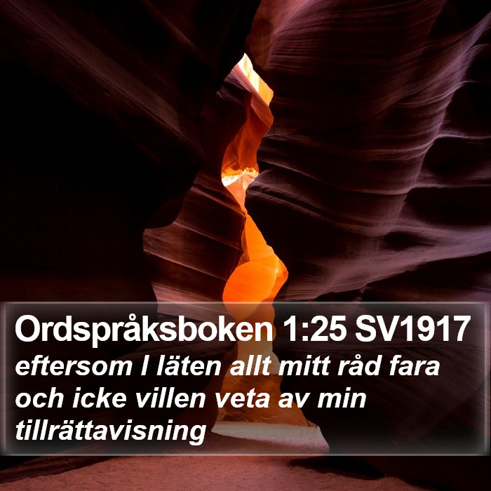 Ordspråksboken 1:25 SV1917 Bible Study