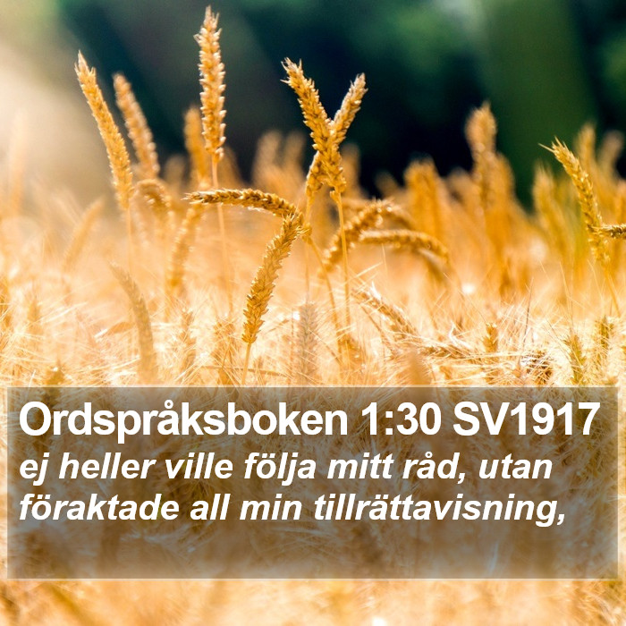 Ordspråksboken 1:30 SV1917 Bible Study