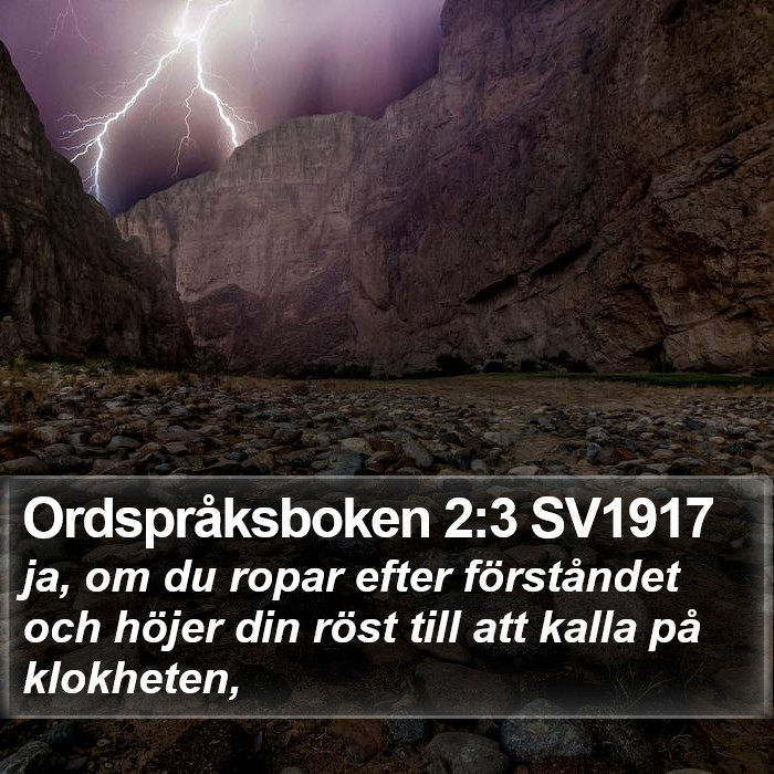 Ordspråksboken 2:3 SV1917 Bible Study