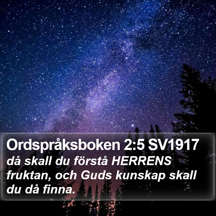 Ordspråksboken 2:5 SV1917 Bible Study