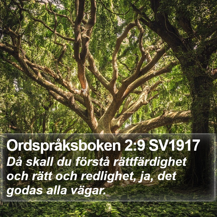 Ordspråksboken 2:9 SV1917 Bible Study