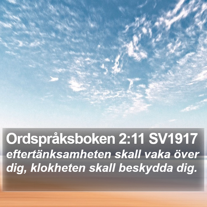Ordspråksboken 2:11 SV1917 Bible Study