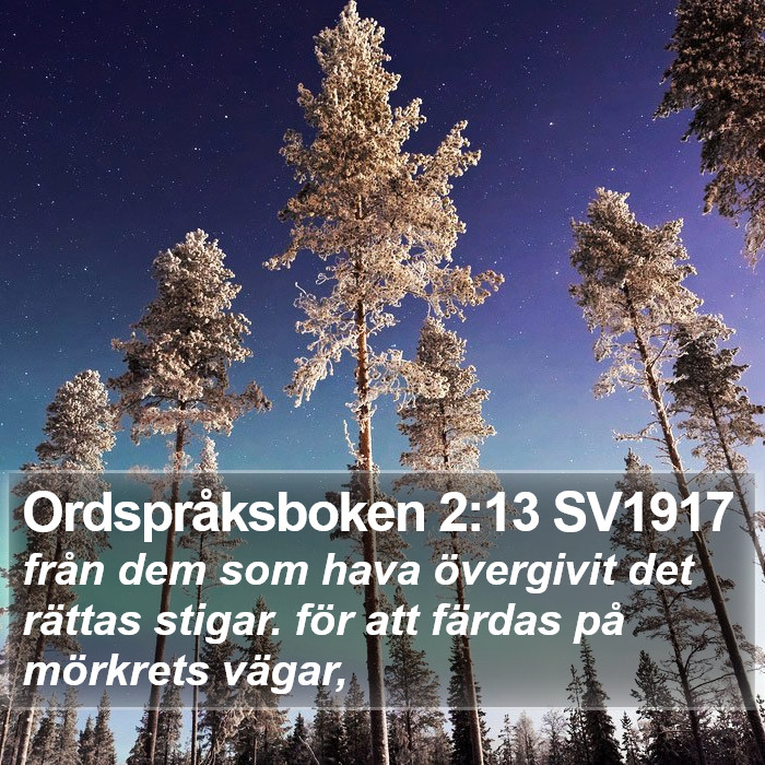 Ordspråksboken 2:13 SV1917 Bible Study