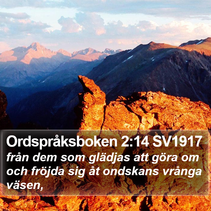 Ordspråksboken 2:14 SV1917 Bible Study