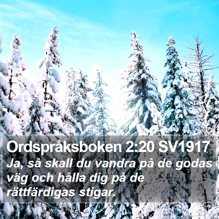 Ordspråksboken 2:20 SV1917 Bible Study