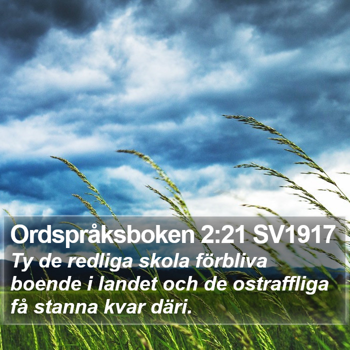 Ordspråksboken 2:21 SV1917 Bible Study