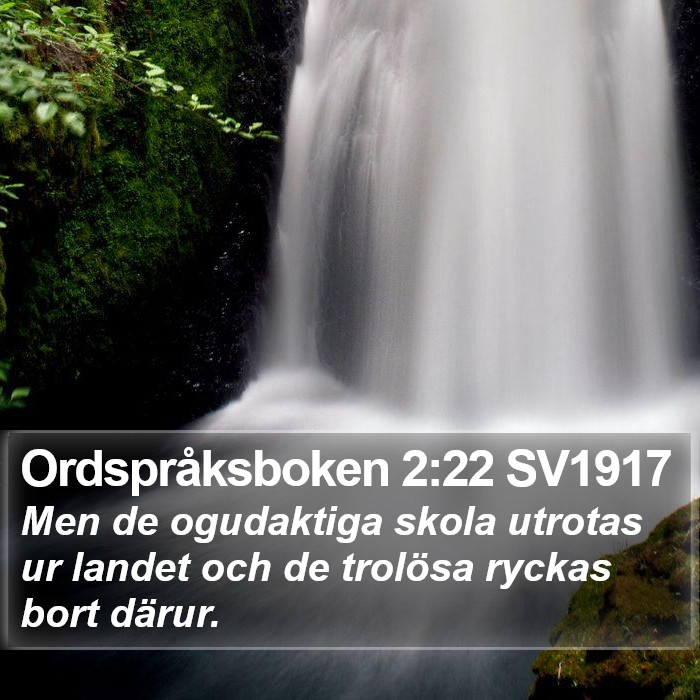 Ordspråksboken 2:22 SV1917 Bible Study