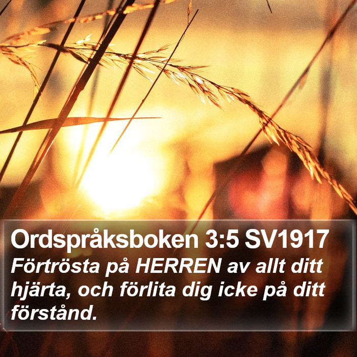 Ordspråksboken 3:5 SV1917 Bible Study