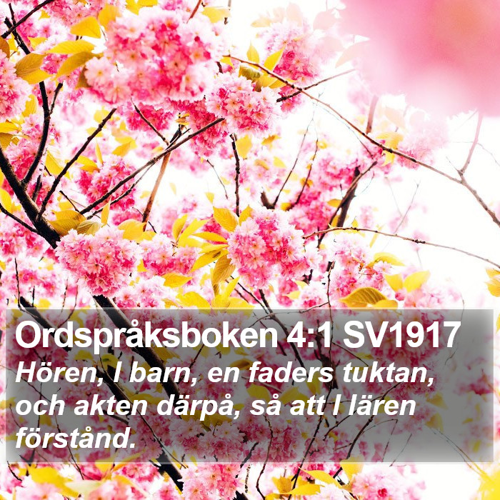 Ordspråksboken 4:1 SV1917 Bible Study