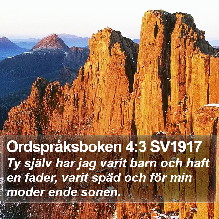 Ordspråksboken 4:3 SV1917 Bible Study