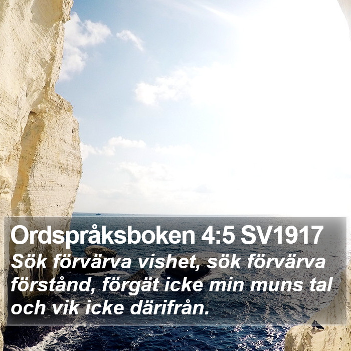 Ordspråksboken 4:5 SV1917 Bible Study