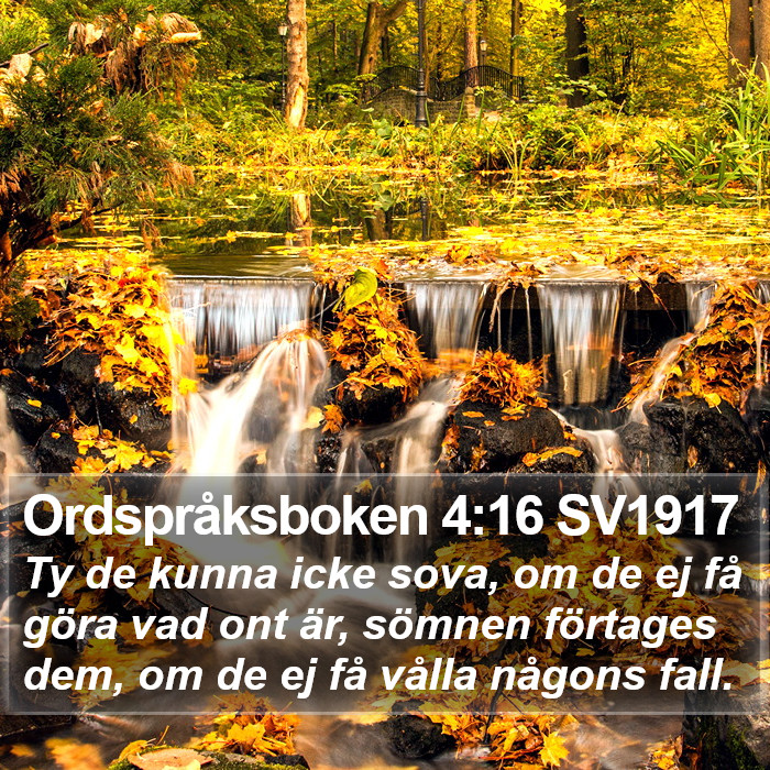 Ordspråksboken 4:16 SV1917 Bible Study